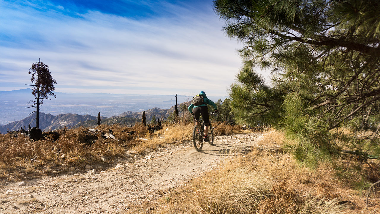 Mountainbike Start Tucson CDO Trail Start mit Fernblick CDO Tucson Arizona