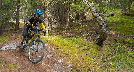 Mountainbike Enduro Tour: Monte Padrio Bike Trail