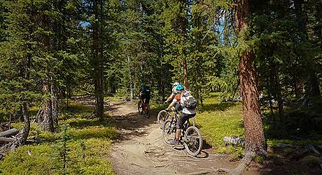 Mountainbike AllMountain Tour: Colorado Trail Section SIX