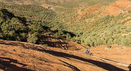Mountainbike Enduro Tour: Hangover Trail