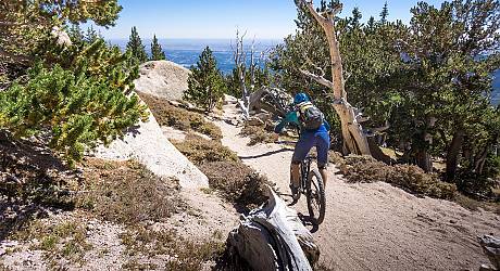 Mountainbike Freeride Tour: Pikes Peak Top of Colorado